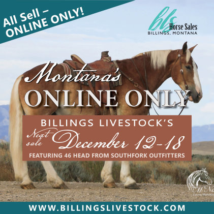 www.billingslivestock.com