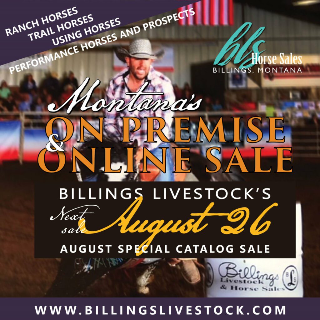 Horse Sales Billings Livestock Commission