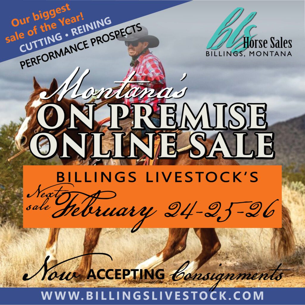 Horse Sales Billings Livestock Commission