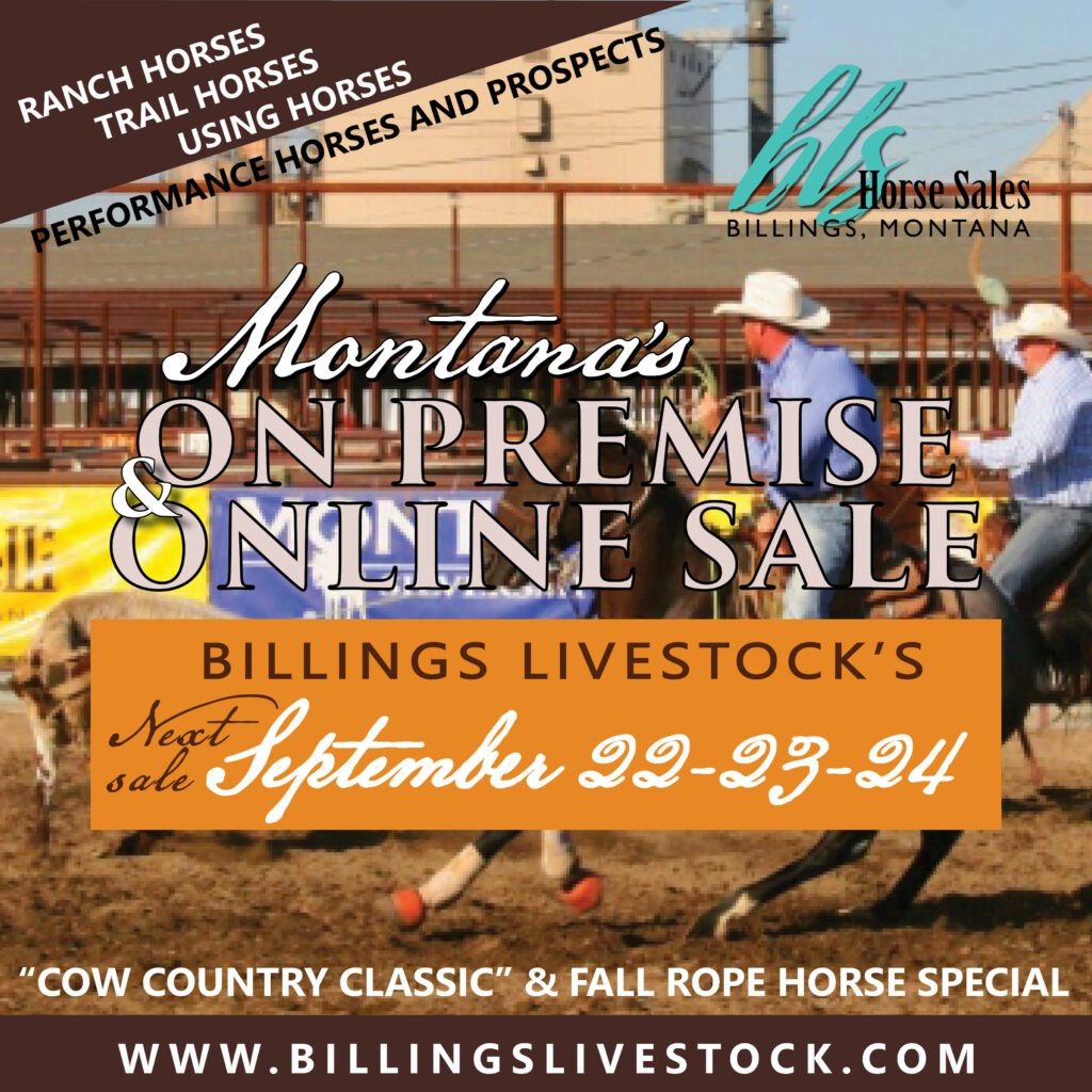 Horse Sales Billings Livestock Commission